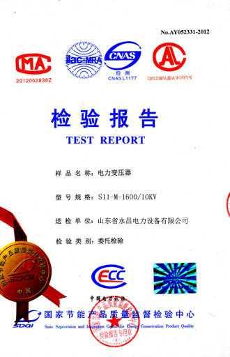邵阳电力变压器检测合格报告